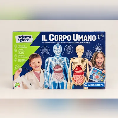 Gioco da tavolo sul corpo umano